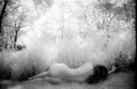 ©2013 Deborah Land