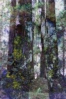 ©2013 Deborah Land