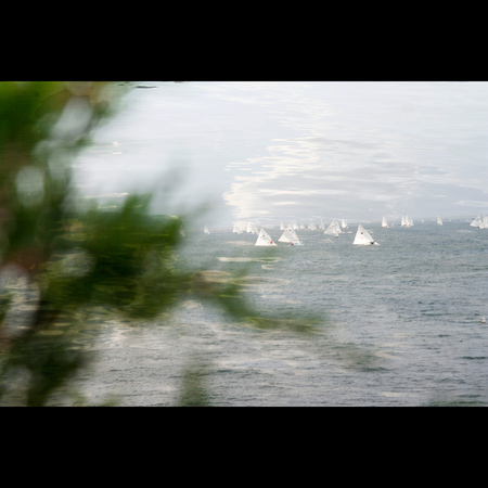 "EVERGREEN"
 : Illumination : Deborah Land - Fine Art Photography
