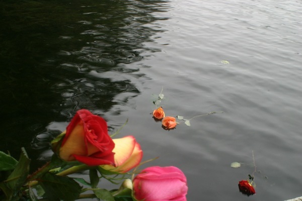 "Love and the Outcast"
 : Fleur : Deborah Land - Fine Art Photography