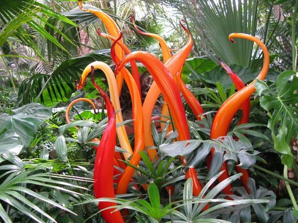 "Spiraling Scarlet" 
 : Secret Gardens : Deborah Land - Fine Art Photography