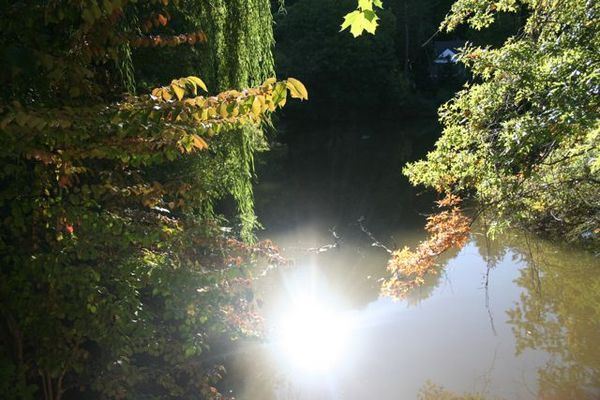 "Water Ablaze"
 : Secret Gardens : Deborah Land - Fine Art Photography
