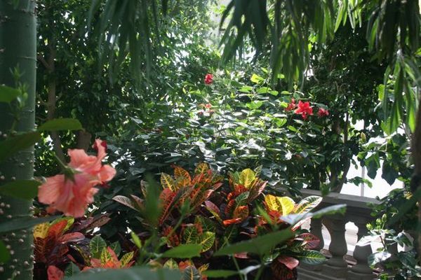 "Radiant Glow"
 : Secret Gardens : Deborah Land - Fine Art Photography
