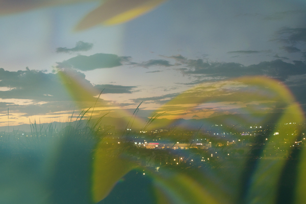"SUNKEN VALLEY" : Tropical Stories : Deborah Land - Fine Art Photography