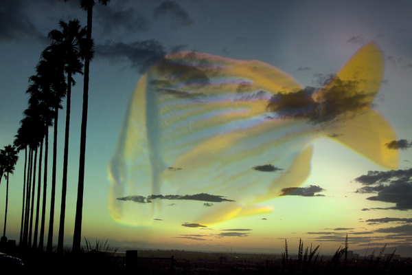 "GREAT EXPANSE" : Tropical Stories : Deborah Land - Fine Art Photography