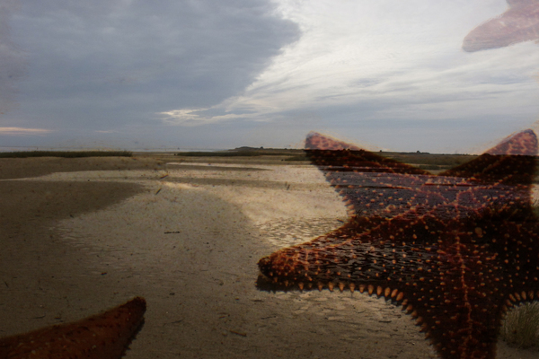 "BEACHED" : Tropical Stories : Deborah Land - Fine Art Photography