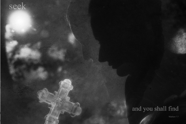 "SEARCH" : Scripture Pictures : Deborah Land - Fine Art Photography