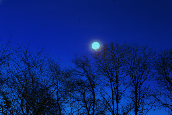 Backyard Moon : Moonscapes : Deborah Land - Fine Art Photography