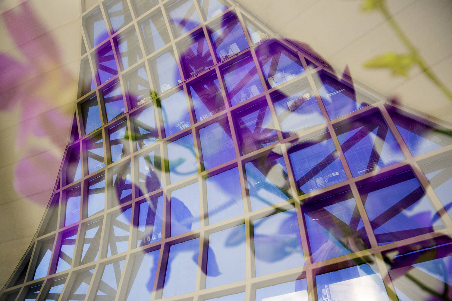 Facade : Double Exposure : Deborah Land - Fine Art Photography