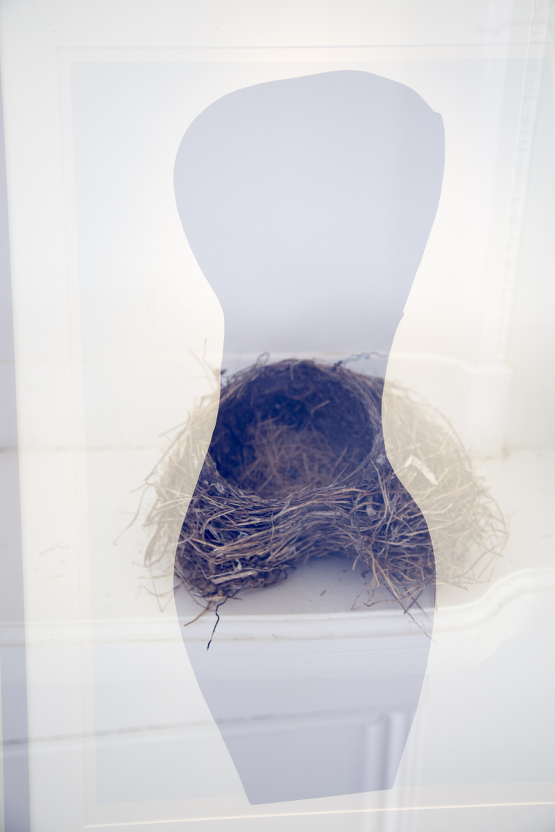 Womb : Double Exposure : Deborah Land - Fine Art Photography