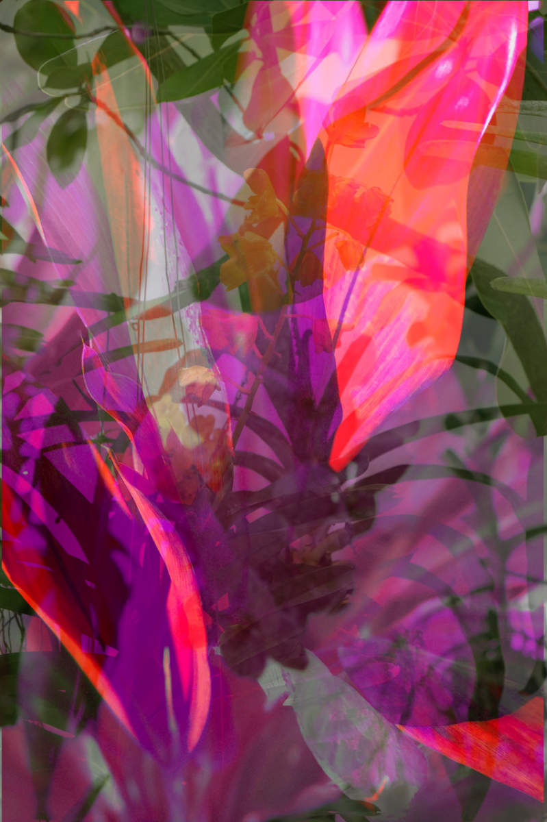  : Double Exposure : Deborah Land - Fine Art Photography