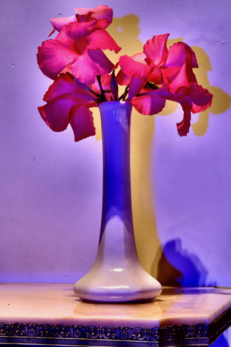 Morning : Still Life Shadows : Deborah Land - Fine Art Photography