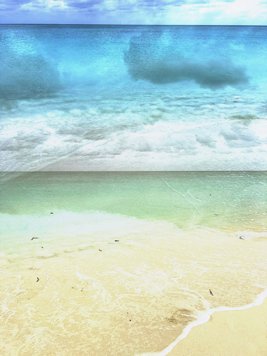 : Tropical Stories : Deborah Land - Fine Art Photography