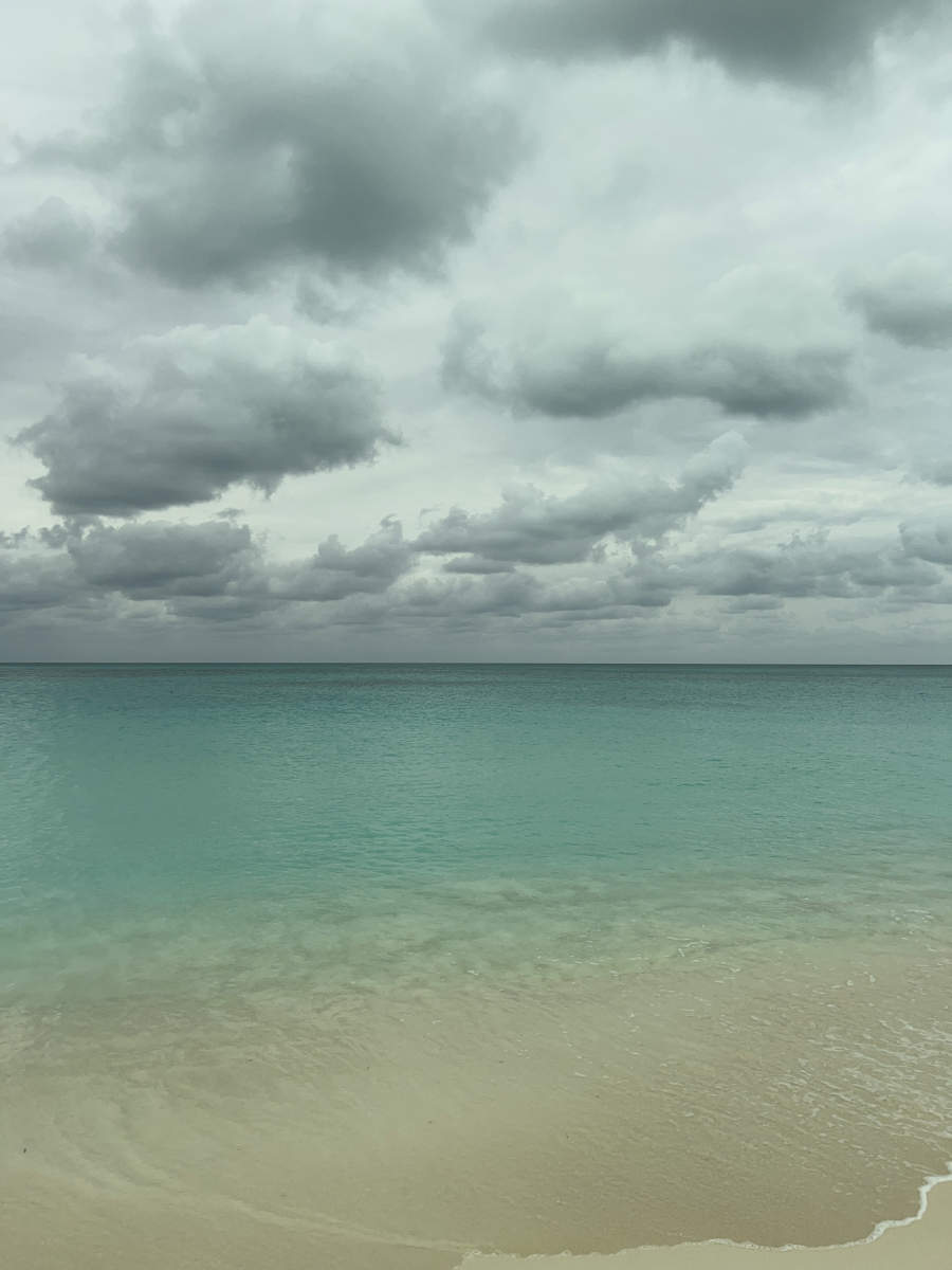  : Tropical Stories : Deborah Land - Fine Art Photography