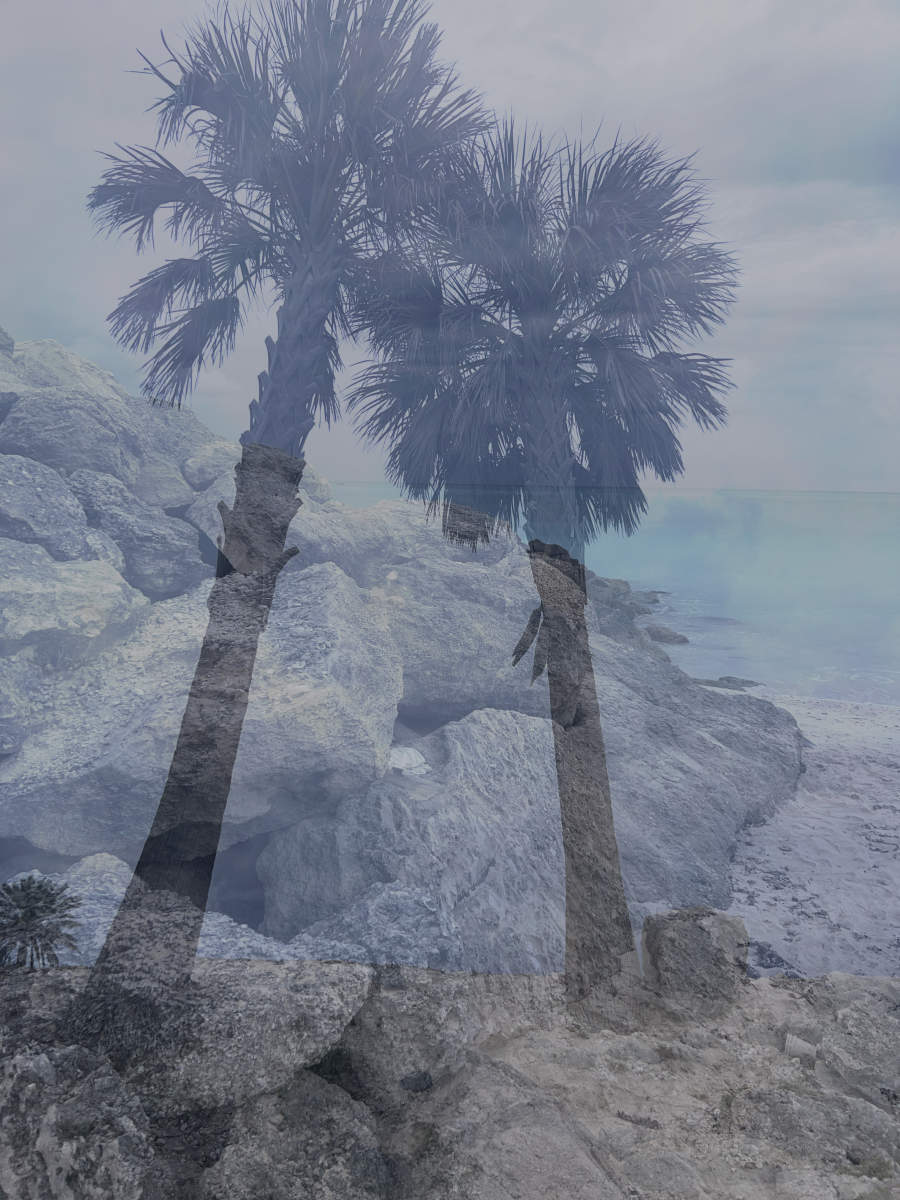  : Tropical Stories : Deborah Land - Fine Art Photography