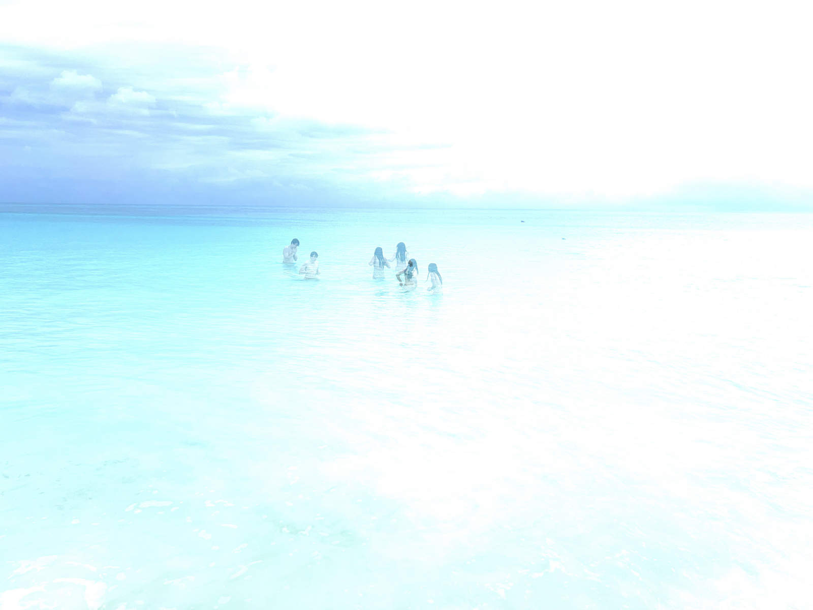  : Tropical Stories : Deborah Land - Fine Art Photography
