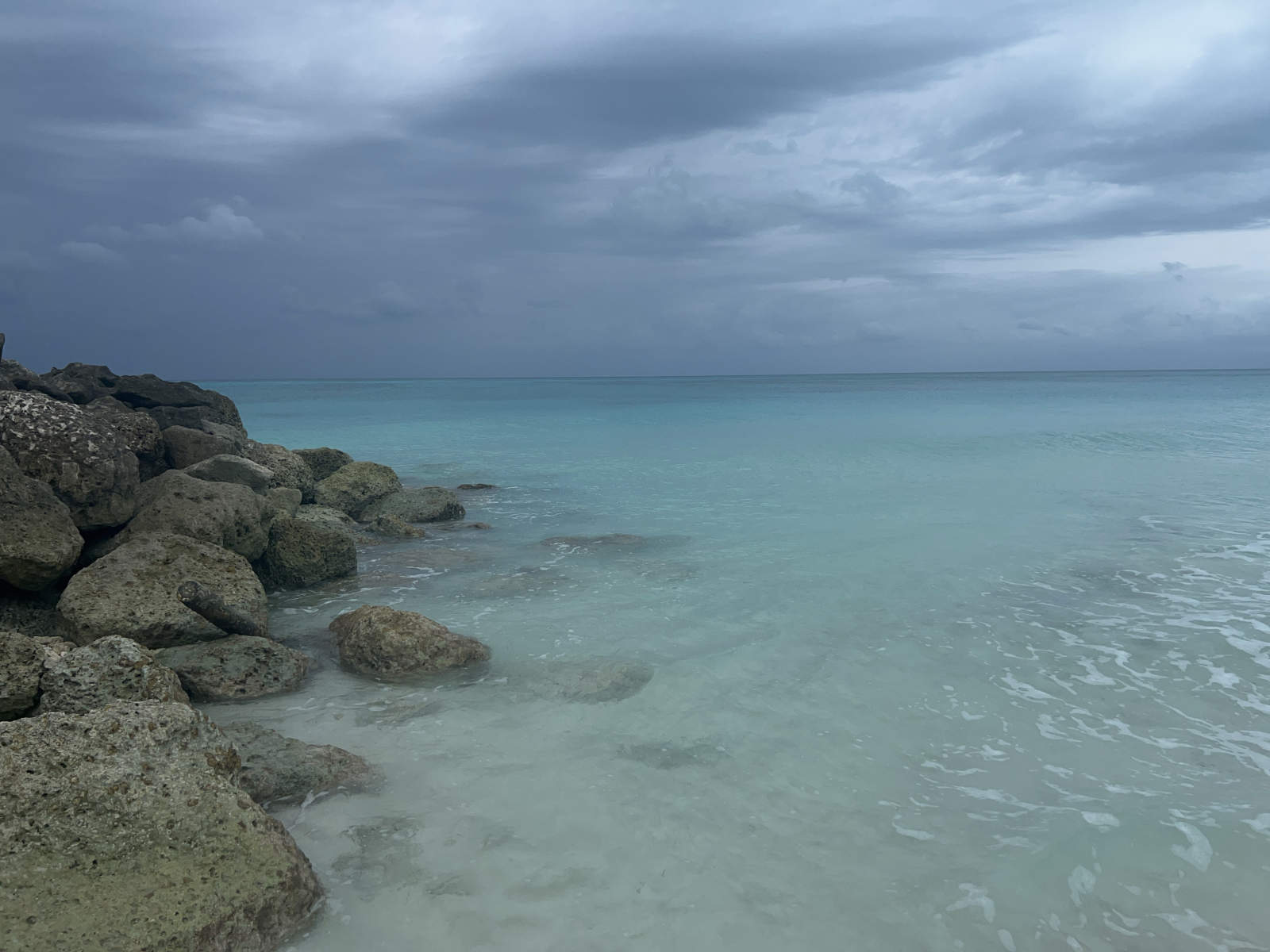 : Tropical Stories : Deborah Land - Fine Art Photography
