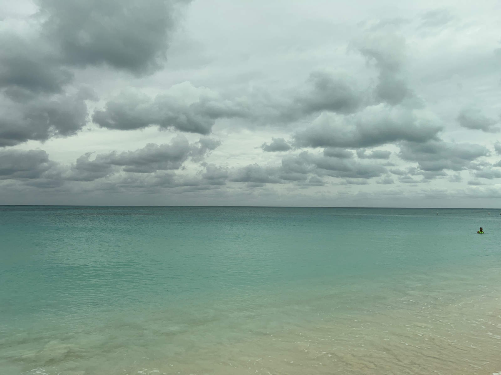  : Tropical Stories : Deborah Land - Fine Art Photography