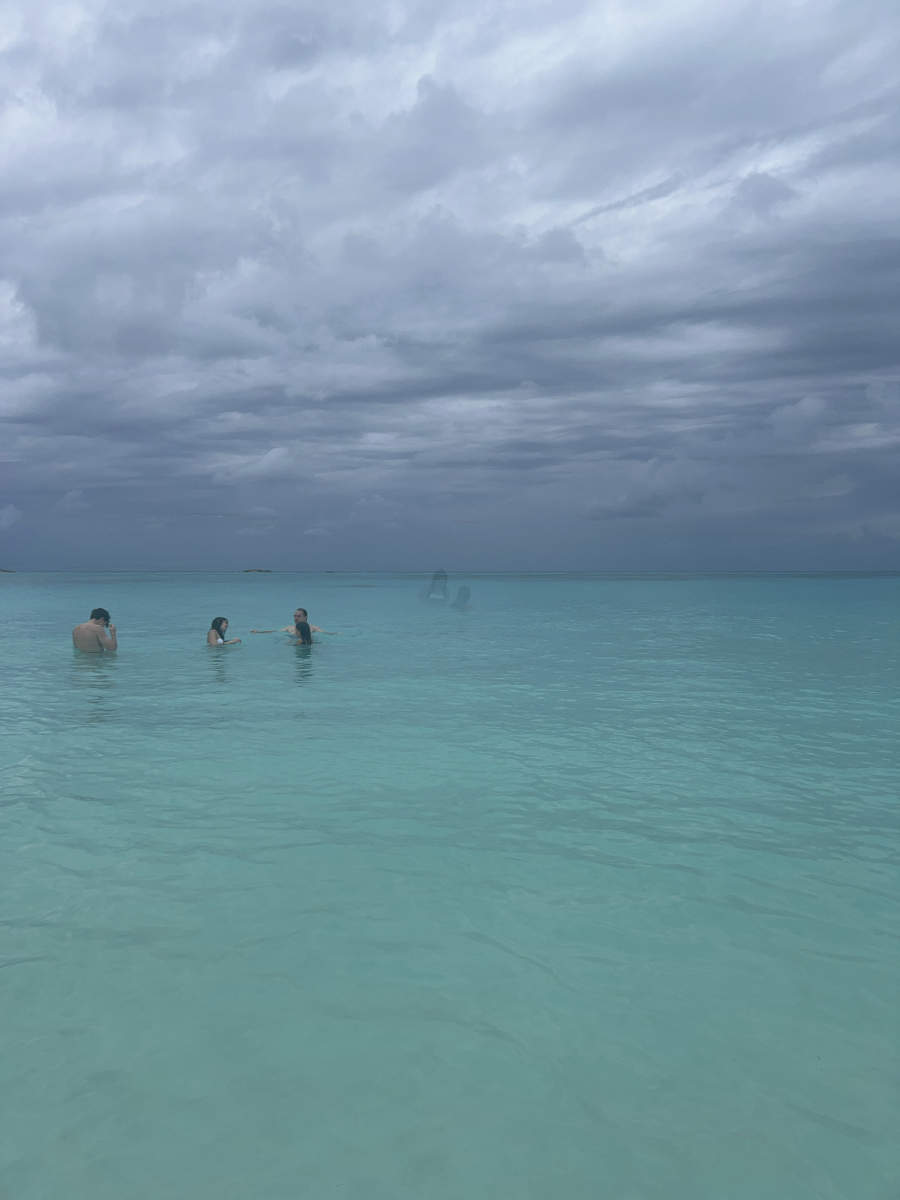  : Tropical Stories : Deborah Land - Fine Art Photography