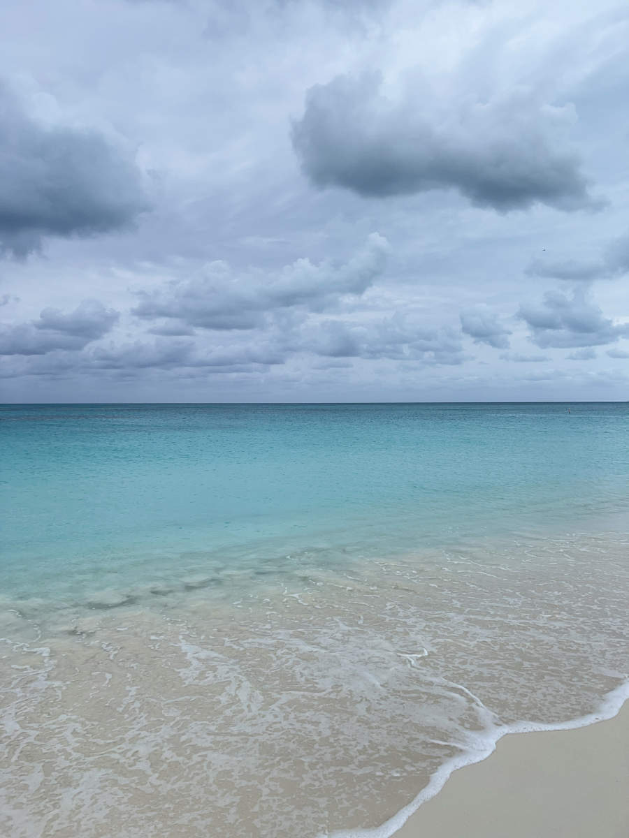  : Tropical Stories : Deborah Land - Fine Art Photography