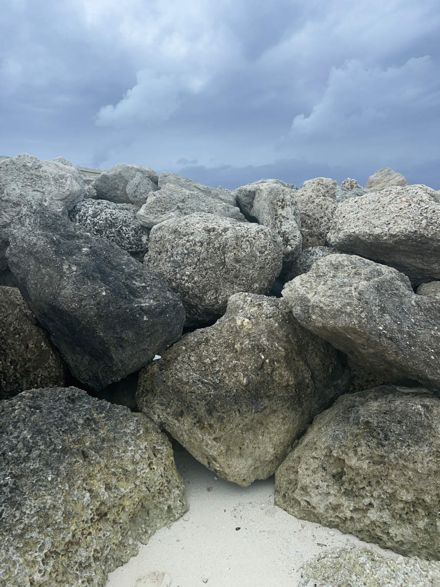  : Tropical Stories : Deborah Land - Fine Art Photography