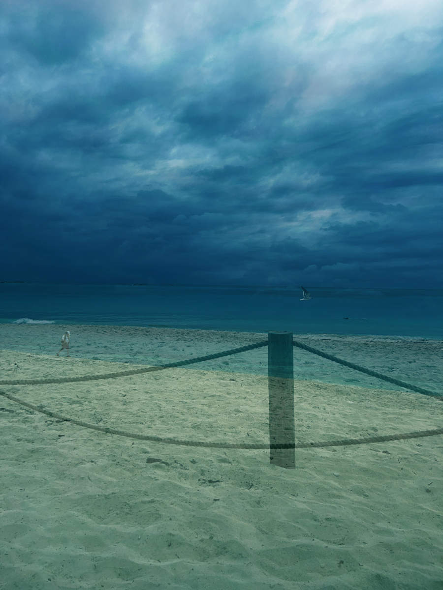  : Tropical Stories : Deborah Land - Fine Art Photography