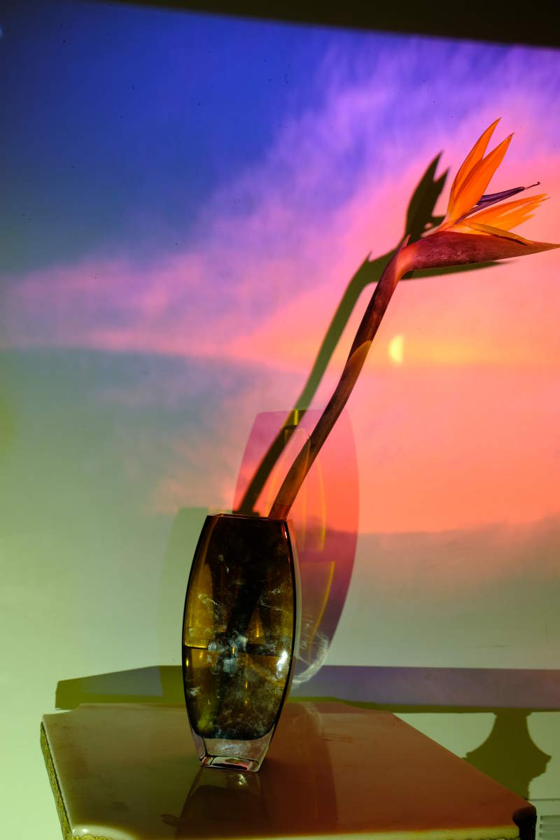 After the fact : Still Life Shadows : Deborah Land - Fine Art Photography