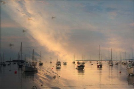 "BLAZE"
 : Illumination : Deborah Land - Fine Art Photography