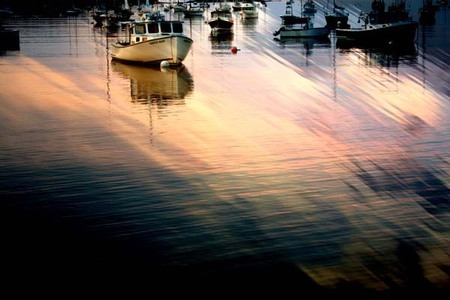 "SHIMMER"
 : Illumination : Deborah Land - Fine Art Photography