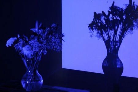 "Self-Image"
 : Post-Modern Blues : Deborah Land - Fine Art Photography